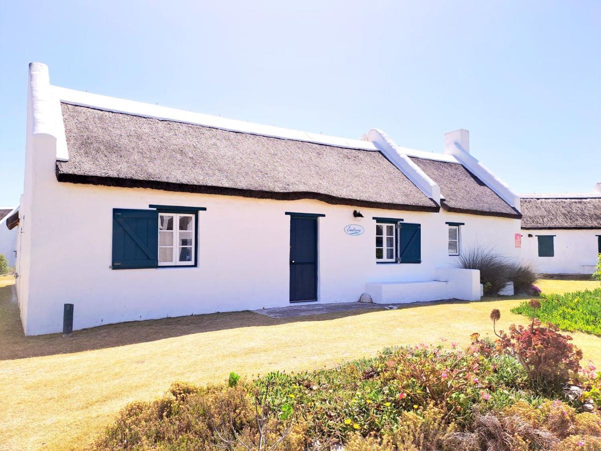 Zandtorini Seaside Cottage Struisbaai Eksteriør billede